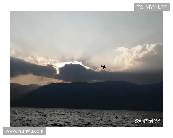 没脚的小鸟：一场关于自由与追寻的永恒独白